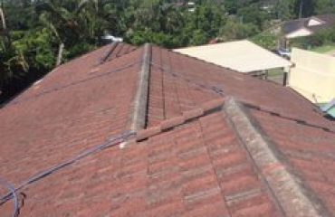 Roof Repair & Paint