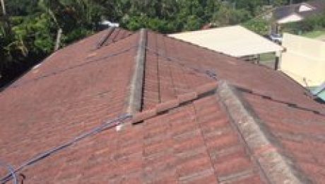 Roof Repair & Paint